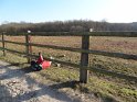 2012-02-02 14-55-57 Rando Auvers St-Georges DLe